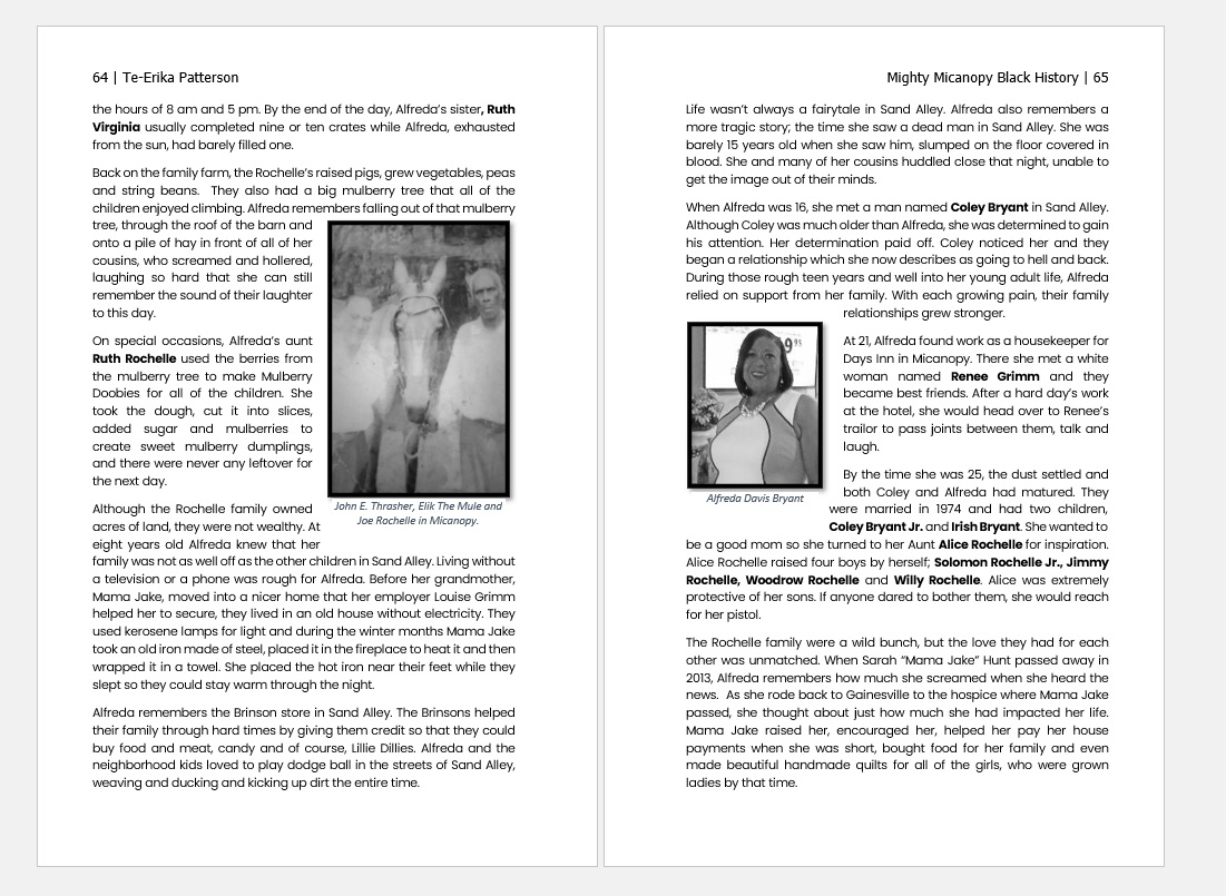 Excerpt 2 from Micanopy Black History Book